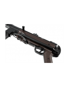 MP German
