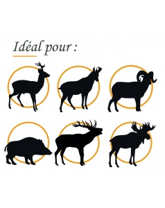 FOX CLASSIC HUNTER 308 WIN 150 GR