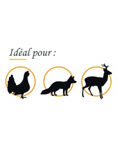 FOX CLASSIC HUNTER 222 REM 45 GR