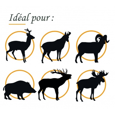 FOX CLASSIC HUNTER 9,3MM (.366) 220 GR