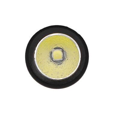 PFA1