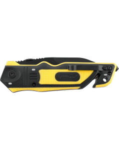 ERK Jaune