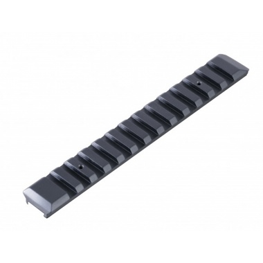 Rail Picatinny